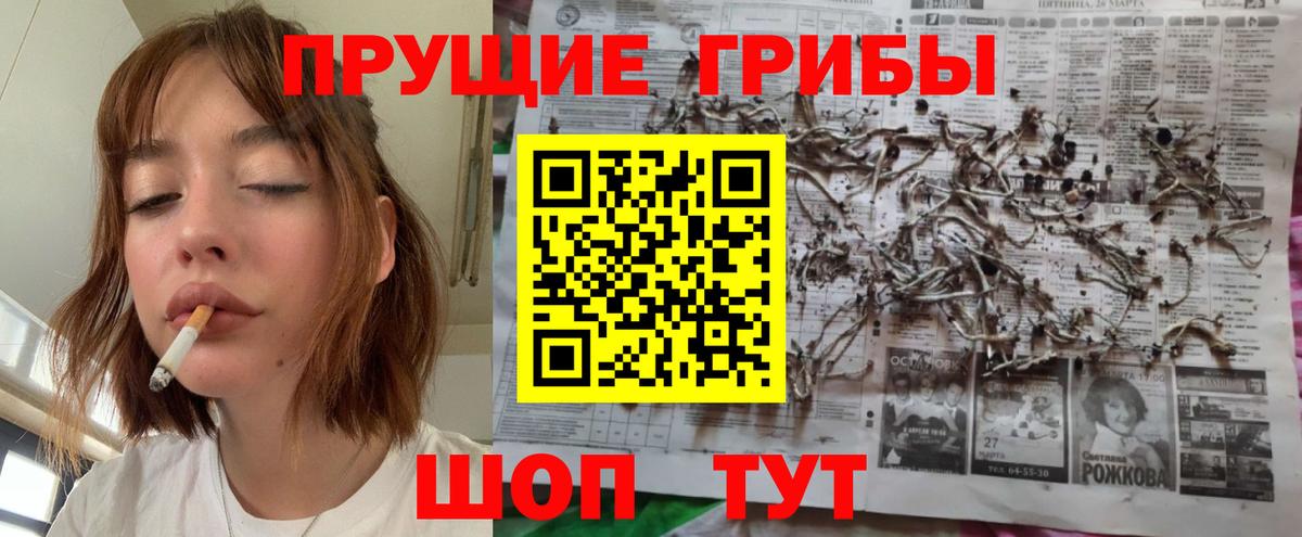 Галлюциногенные грибы Cubensis  Вход с VPN  Городец  цена   Псилоцибиновые грибы Magic Shrooms 