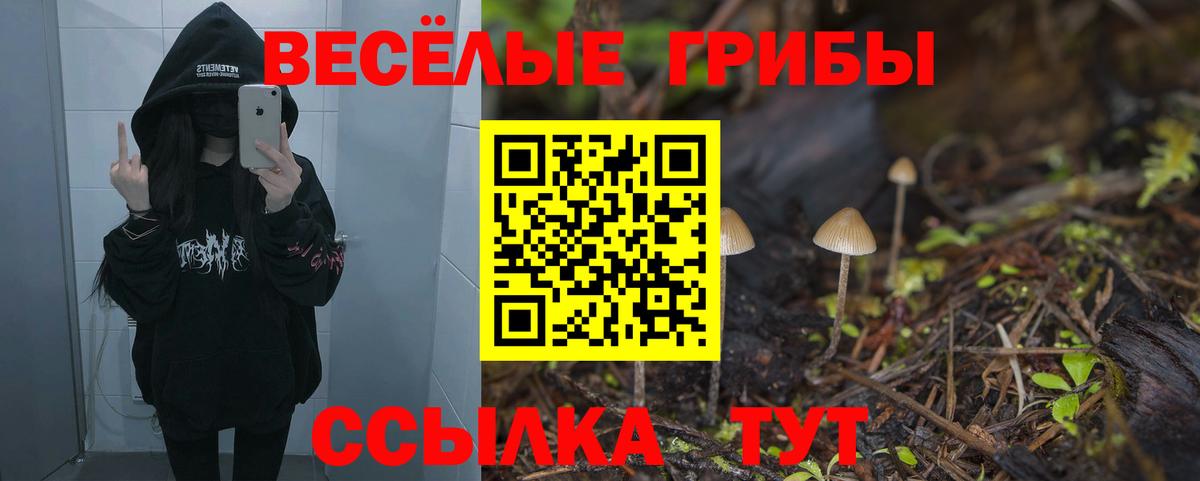 Псилоцибиновые грибы мухоморы Городец